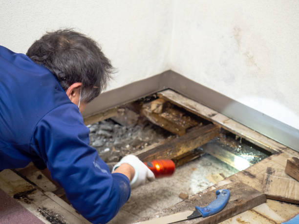 Best Crawl Space Mold Removal  in Johnstown, CO