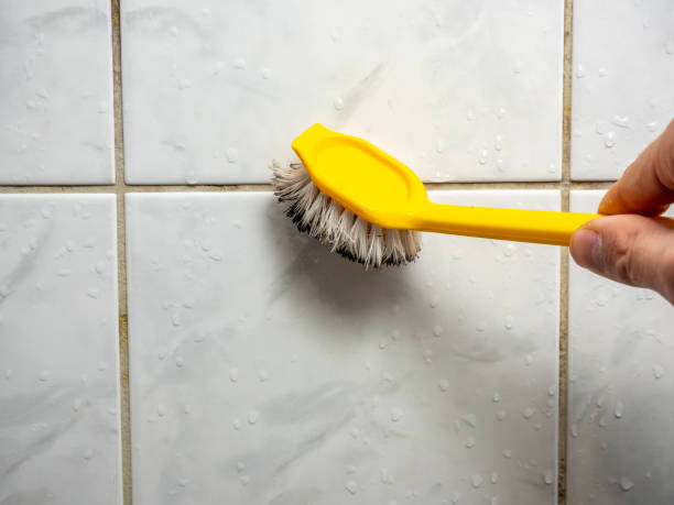Best Mold Inspection  in Johnstown, CO