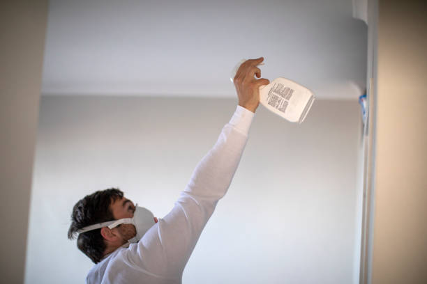 Best Home Mold Removal  in Johnstown, CO