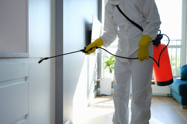 Best Certified Mold Removal  in Johnstown, CO